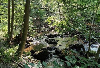 02_Nationalpark_Harz
