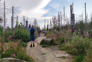 03_Nationalpark_Harz
