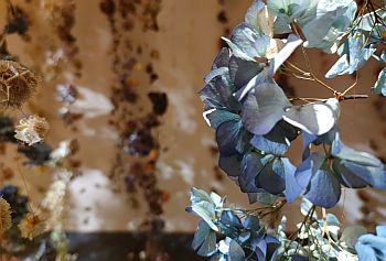 02_Flowers_Ausstellung