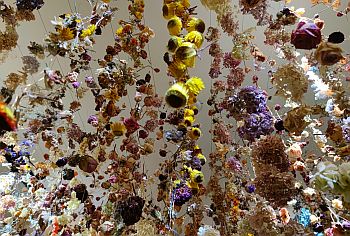03_Flowers_Ausstellung