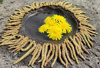 LandArt_Leck_02