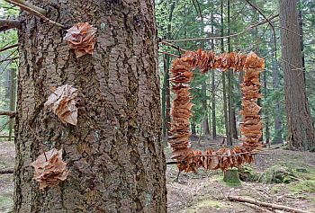LandArt_Leck_03