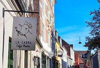 la-cabra_Aarhus